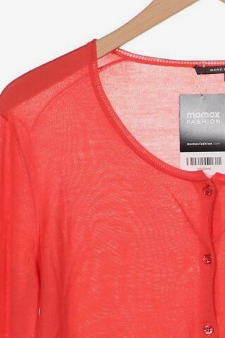 RENÉ LEZARD Sweater & Cardigan in XL in Orange