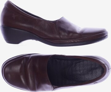 PIKOLINOS Flats & Loafers in 36 in Brown: front