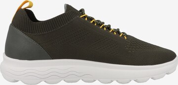 GEOX Sneakers laag 'Spherica' in Groen