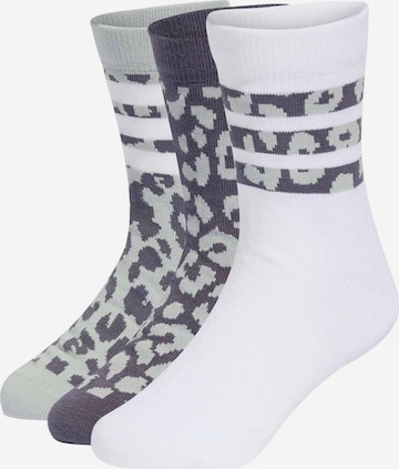 ADIDAS PERFORMANCE Urheilusukat värissä harmaa: etupuoli