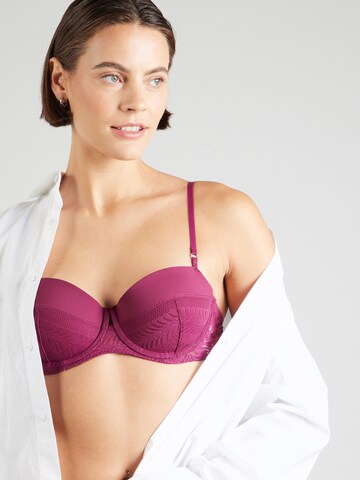 Calvin Klein Underwear Balconette Bra in Purple