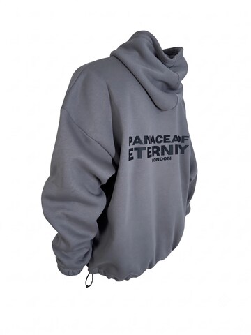 QWX2 - Sudadera 'ETERNITY' en gris