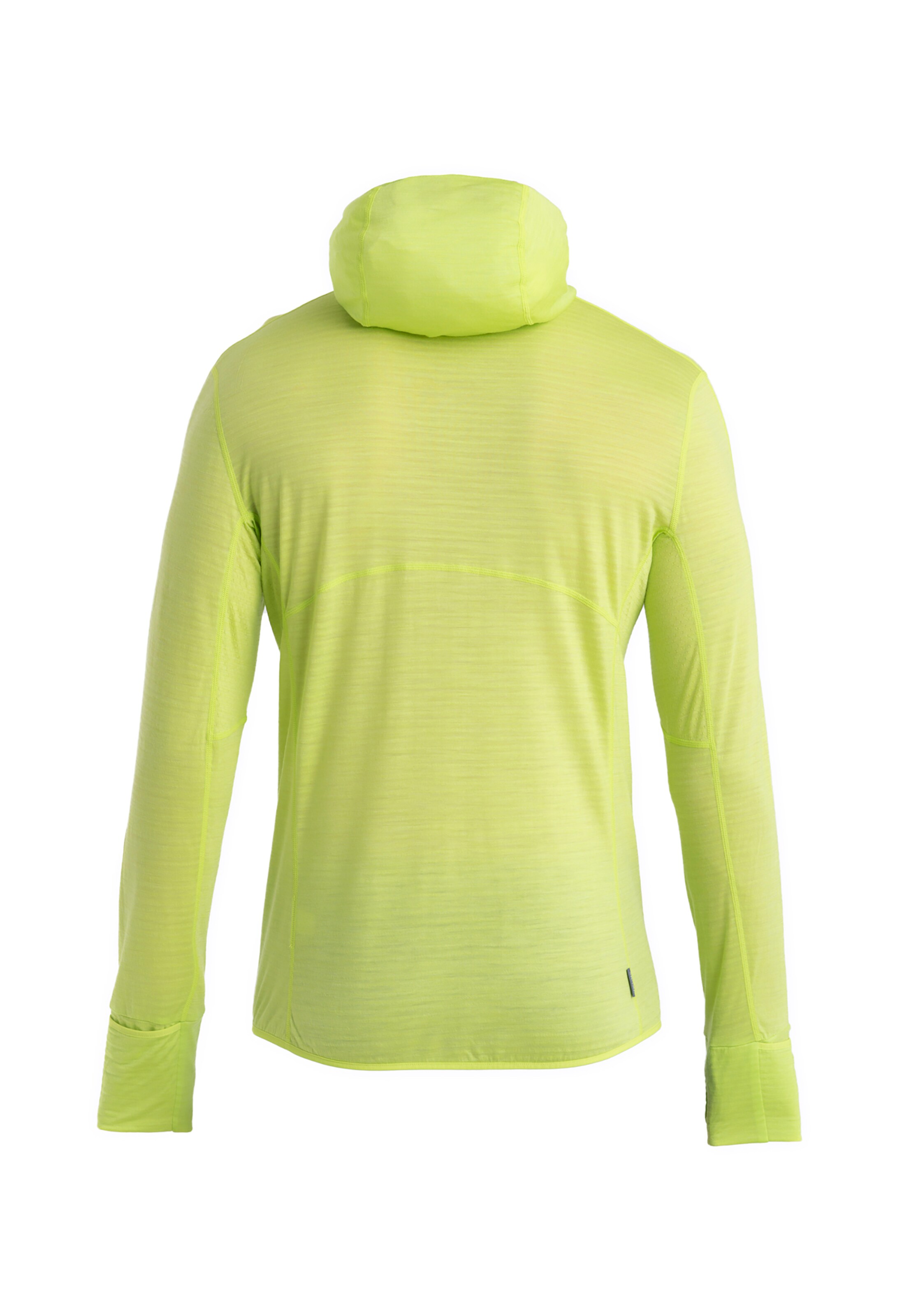 ICEBREAKERTehnička flis jakna 'Realfleece Descender' - zelena boja