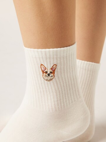 CALZEDONIA Socks 'Dog' in White