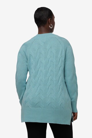 Ulla Popken Sweater in Blue