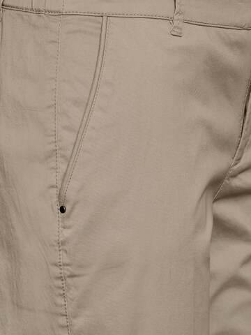 STREET ONE Regular Hose in Beige