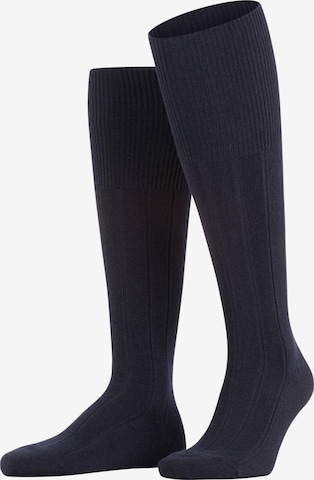 FALKE Knee High Socks 'Lhasa Rib' in Blue: front