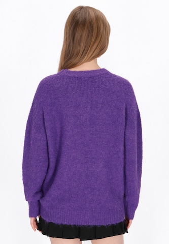 MYMO Sweater in Purple