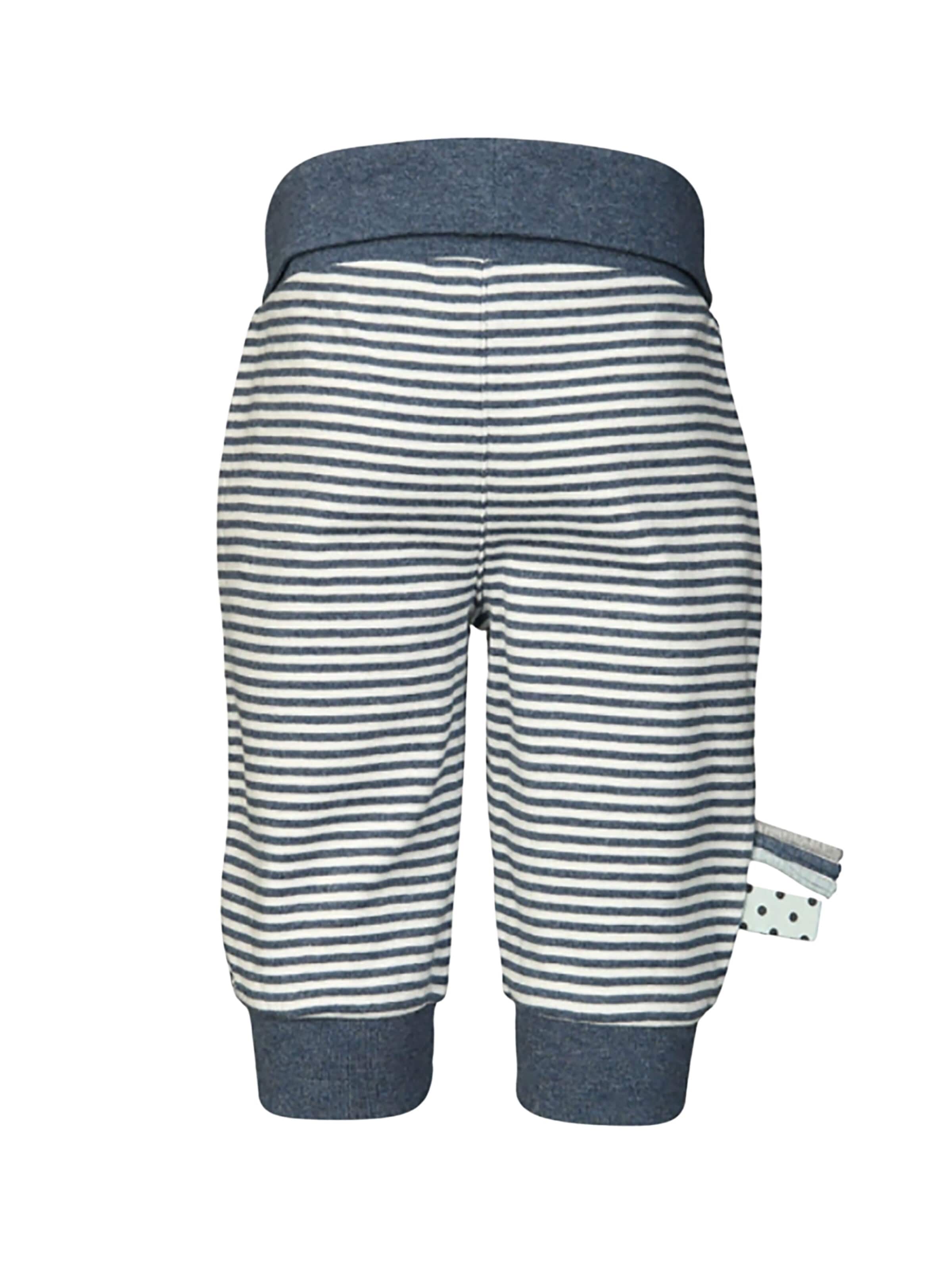 OrganicEra Regular Pants in Blue