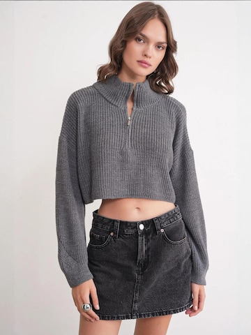 Pullover 'Pullover' di MixRay in grigio: frontale