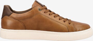 Rieker EVOLUTION Sneakers laag in Bruin