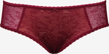 SugarShape Panty 'Evita' in Red: front