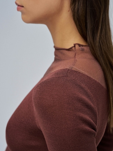 Salsa Jeans Trui in Bruin