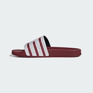 ADIDAS PERFORMANCE Strand-/badschoen in Rood