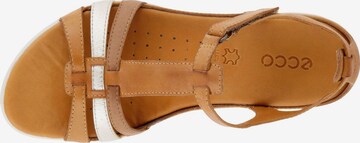 ECCO Sandalen met riem 'Flash' in Bruin