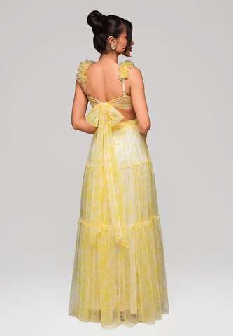Ombre Avondjurk 'Sylvia' in Geel