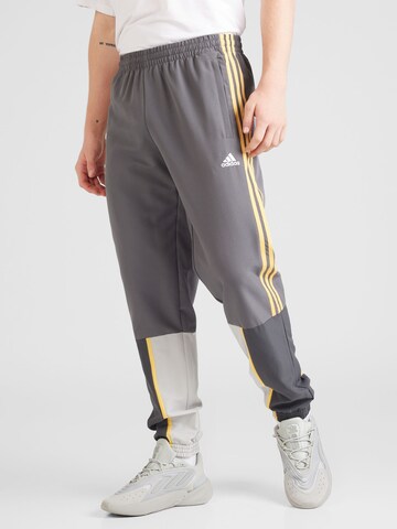 Survêtement ADIDAS SPORTSWEAR en gris