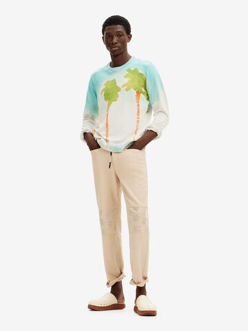 Desigual Sweatshirt in Mischfarben