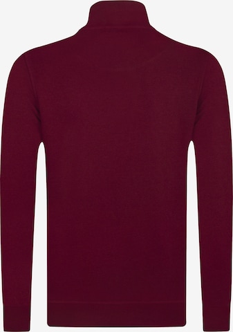 DENIM CULTURE Sweatshirt 'ALCINOO' in Rood