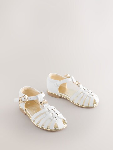 Baker by Ted Baker Sandali | bela barva