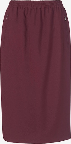 Goldner Skirt in Red: front