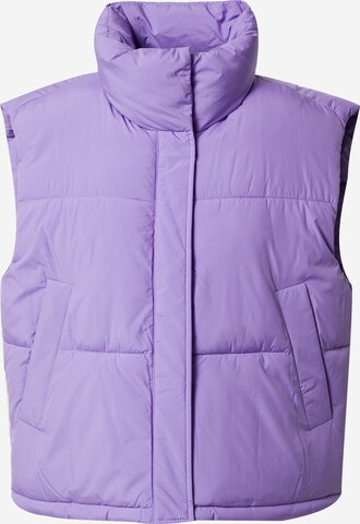 TOM TAILOR DENIM Vest in Purple: front