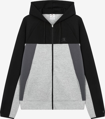 pilka Champion Authentic Athletic Apparel Džemperis: priekis