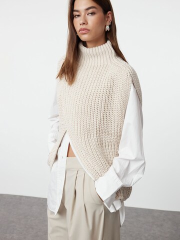 Trendyol Pullover in Grau: Vorderseite