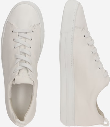 Paul Green Sneakers in White