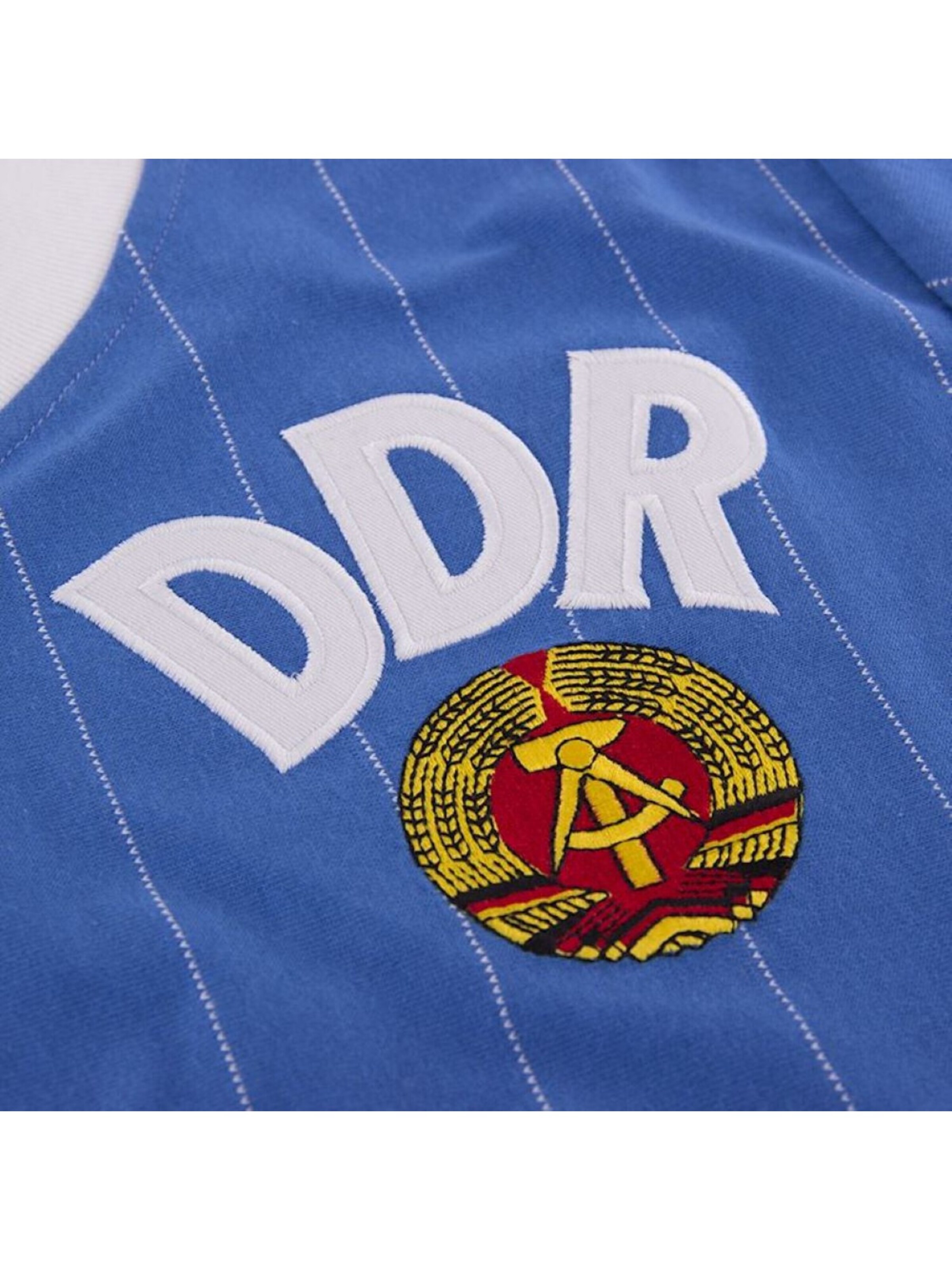 Copa Jersey 'Retro DDR 1985' in Blue