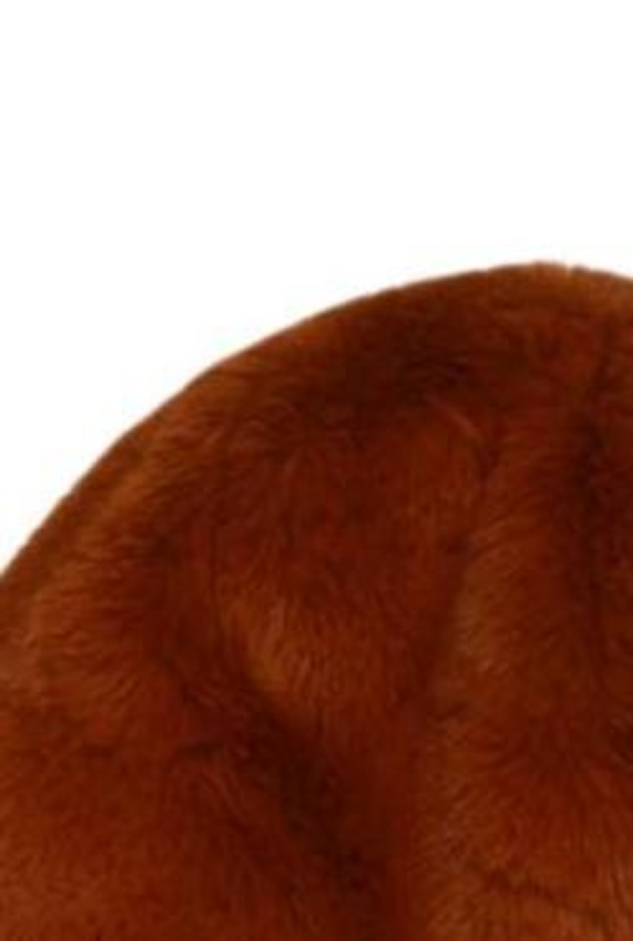 Seeberger Hat & Cap in One size in Brown