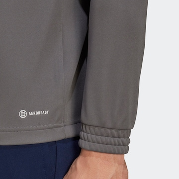 ADIDAS PERFORMANCE Spordidressipluusid 'Entrada 22', värv hall
