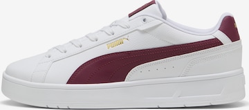 Baskets basses 'Court' PUMA en blanc : devant