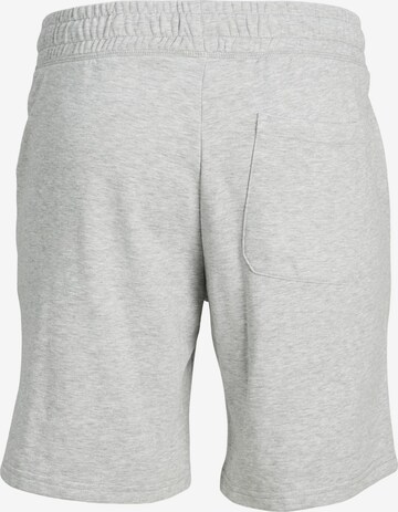 JACK & JONES Regular Shorts 'TREVOR' in Grau