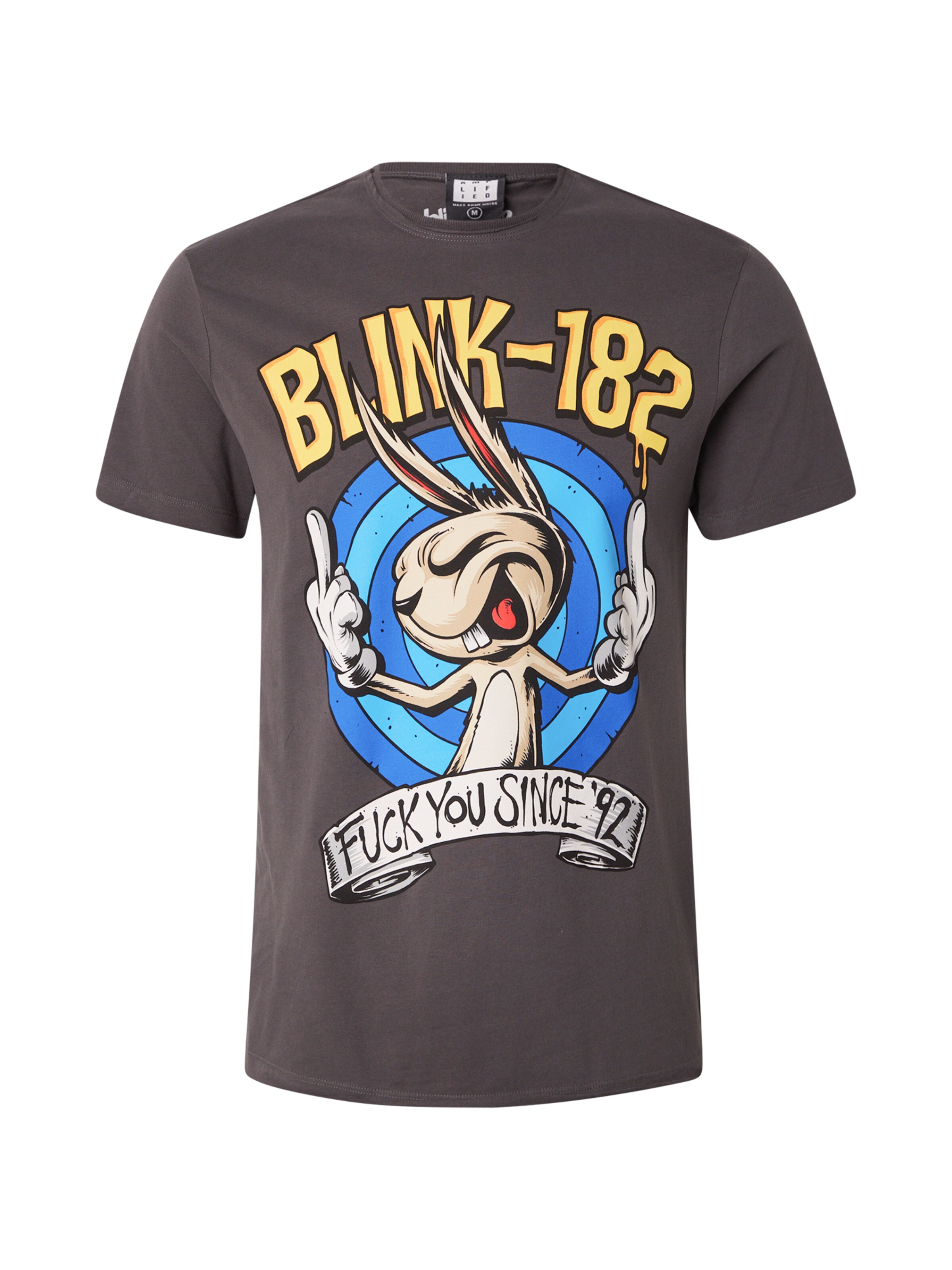 AMPLIFIED Paita 'Blink 182 Fuck You Since' värissä harmaa: etupuoli