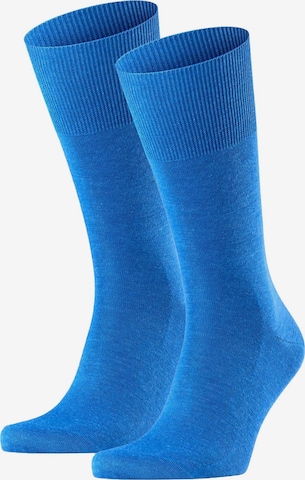 Chaussettes FALKE en bleu : devant