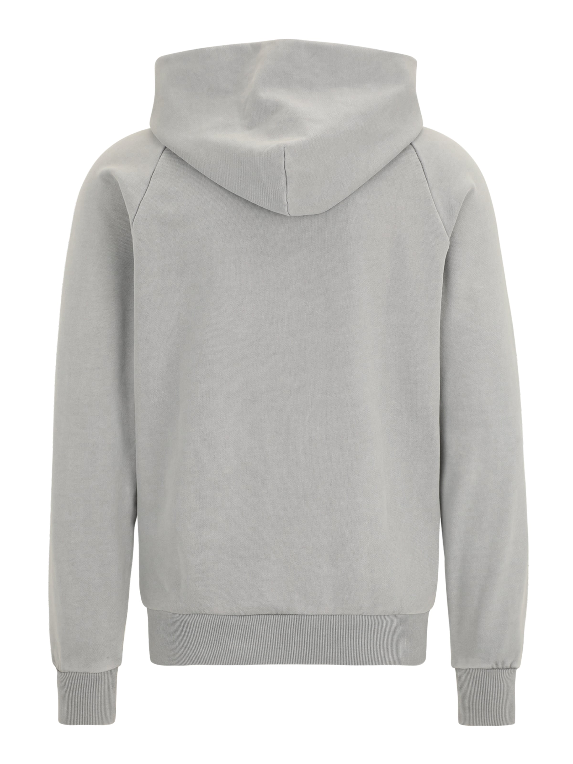 NAPAPIJRI Sweatshirt 'B-CORTONA' i grå: baksida