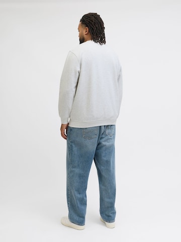 JACK & JONES Sweatshirt in Grey