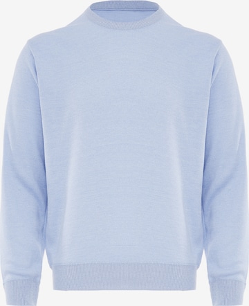 Pull-over BLONDA en bleu : devant