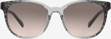 COACH Sunglasses in Grey