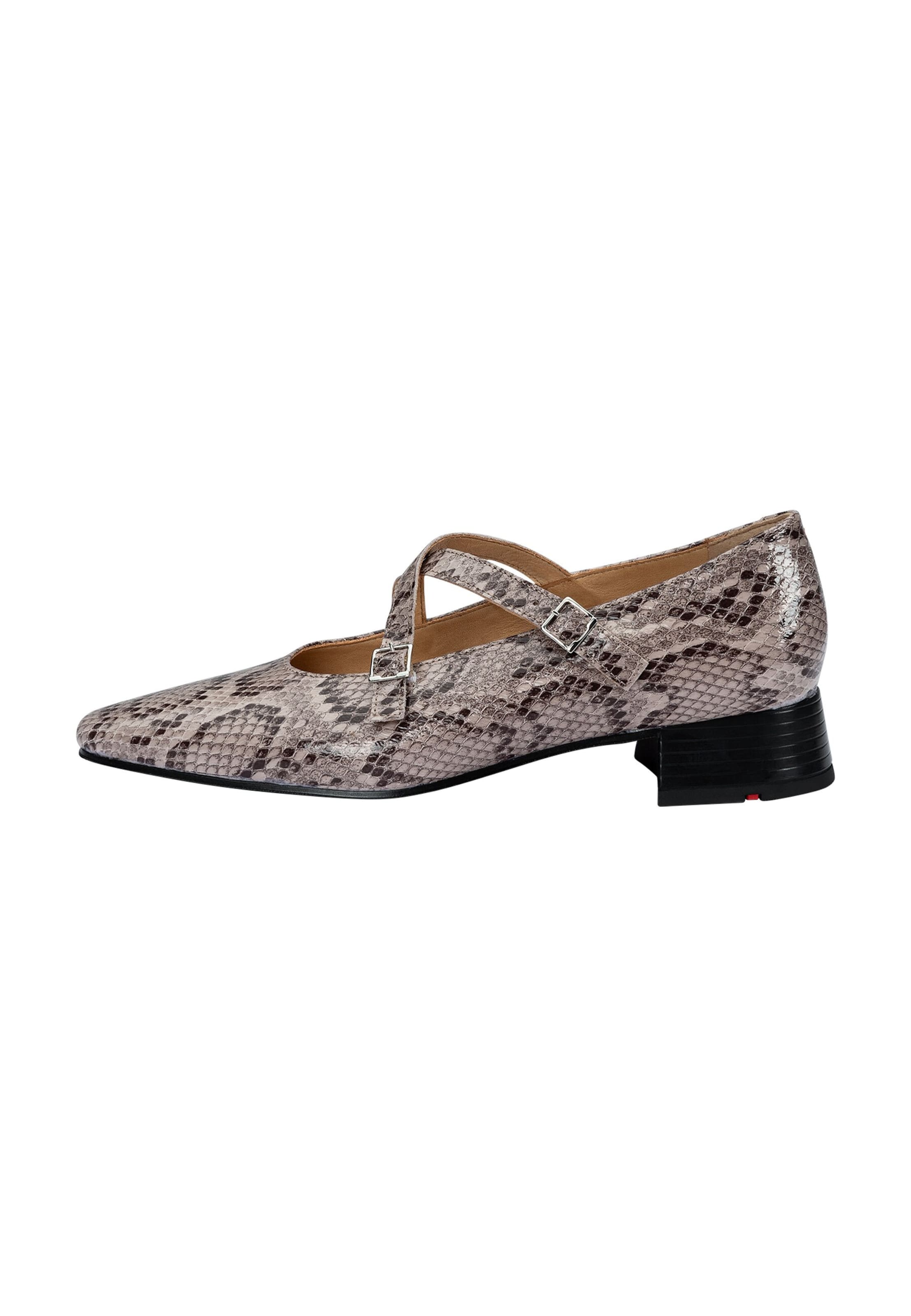 Ballerina di LLOYD in beige: frontale