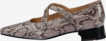 Ballerina di LLOYD in beige: frontale