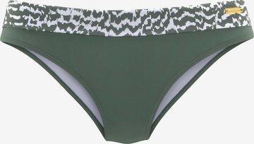 LASCANA Bikini Bottoms in Green: front