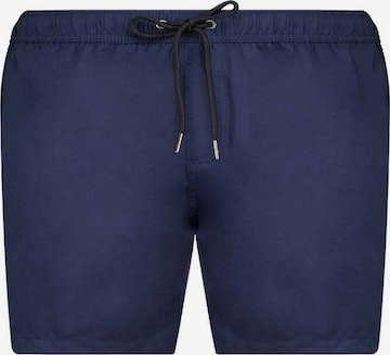 Deeluxe Board Shorts 'Carl' in Blue: front