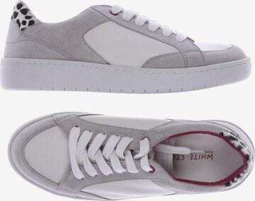 WHITE STUFF Sneakers & Trainers in 37 in Grey: front