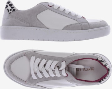 WHITE STUFF Sneaker 37 in Grau: predná strana