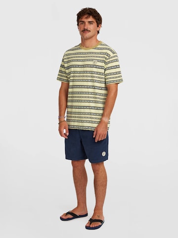 O'NEILL - Regular Calças em azul