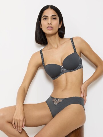 TRIUMPH BH ' Wild Iris Florale ' in Grijs