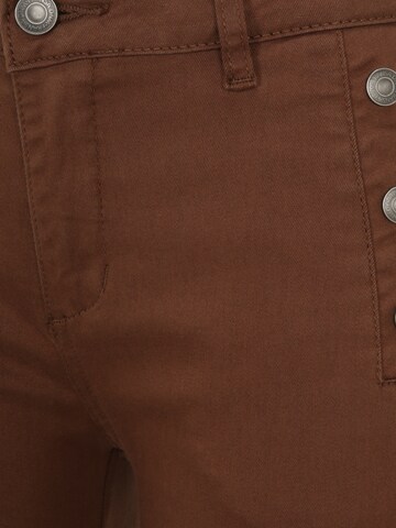 Skinny Pantalon 'MAX' Fransa en marron