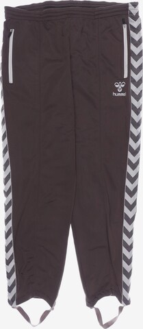 Hummel Pants in XXL in Brown: front